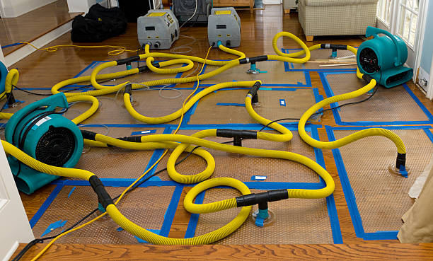 Professional Sewage Cleanup technician working in Moreland, GA